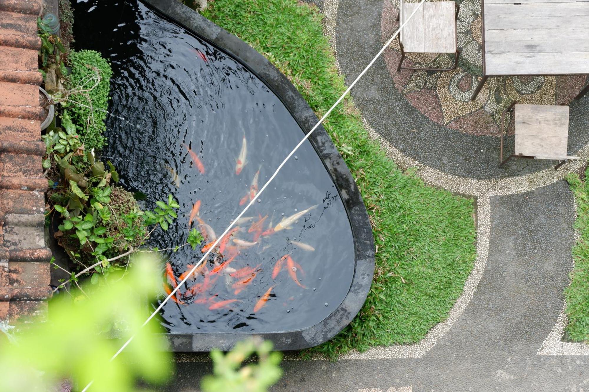 Ramaya View By Eps Ubud